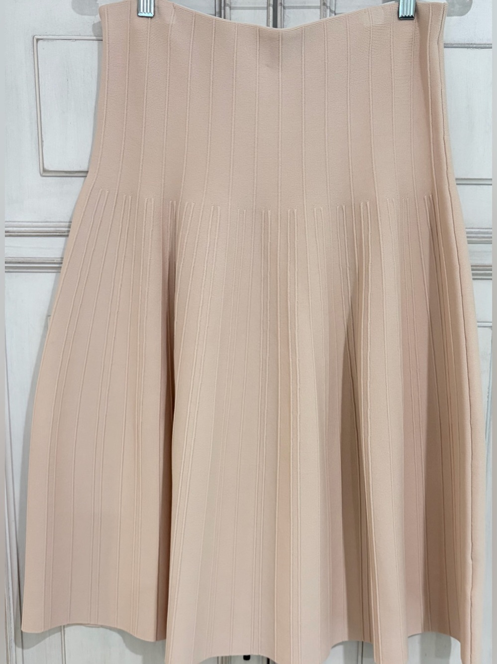 NWT SZ L Aleeza Paris Viola A-line Blush Pleated Skirt
